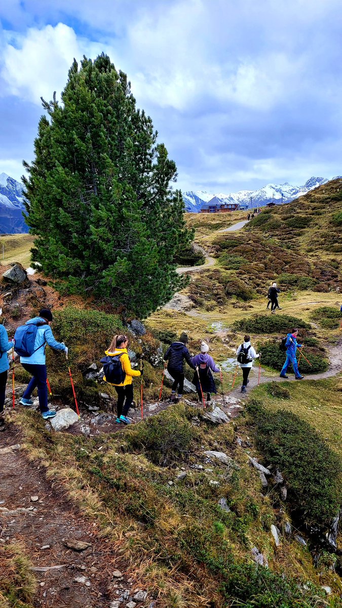 Sophia Roediger tweet media