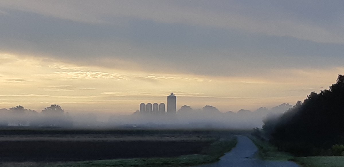 It's a frosty-foggy-inversion morning <a href="/RidgetownCampus/">Ridgetown Campus</a>!