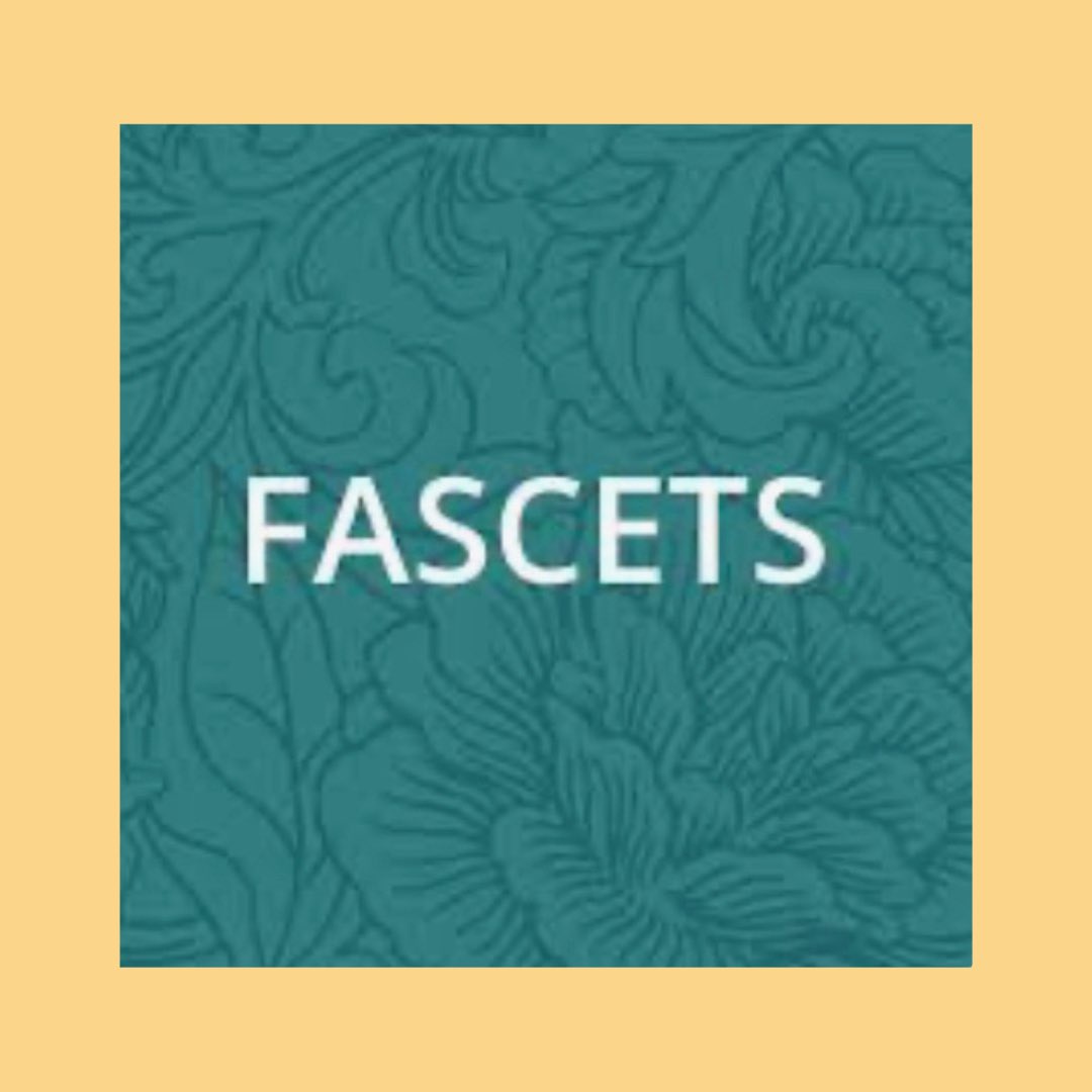 fasdhope's tweet photo. #FASD Training Alert! #FASCETS
are offering a new round of their Introductory #Training of "#Neurobehavioral Conditions Including FASD: Understanding & Application of the FASCETS Brain-Based Approach".For more information / to register, visit: https://t.co/OjSyCCwUDs https://t.co/F9AeAWrbUp