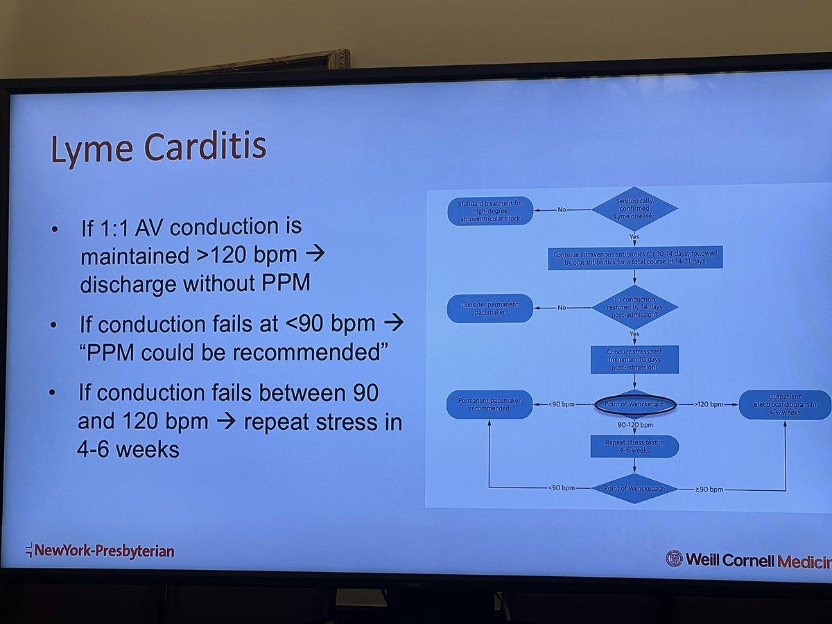 WCMCardsFellows's tweet photo. Our first in-person CCC since Covid!! Excellent talk by second year @dolshanMD about lyme carditis with high incidence of CHB. If recovery of 1:1 AV conduction s/p 14 days of abx, can consider stress testing to determine point of wenkebach for risk stratification. #EPeeps https://t.co/3IPF9dGNsk