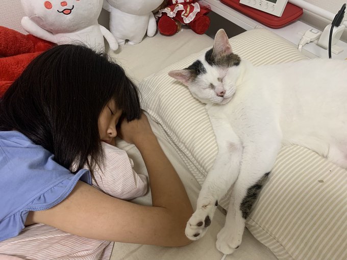 Twitterのコスプレ画像11