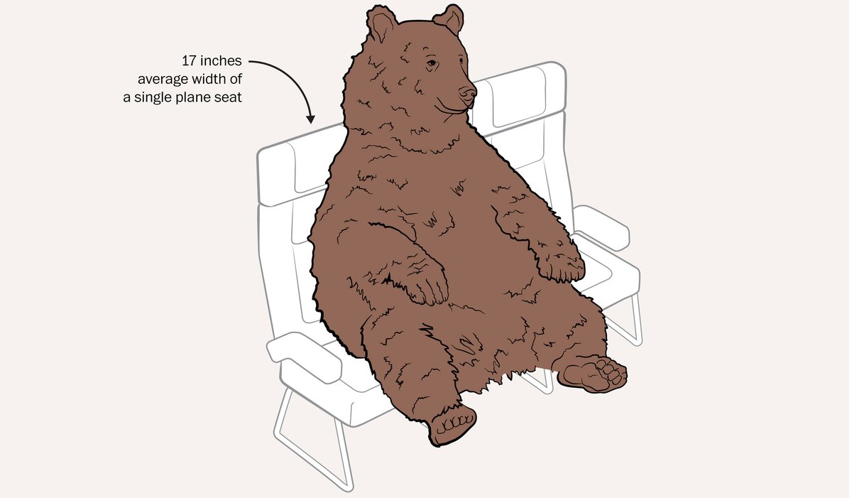 Sometimes journalism answers questions you never thought to ask. Like, 'could one of the biggest bears in the world sit in coach?' His story (and more) here: washingtonpost.com/nation/2022/10…