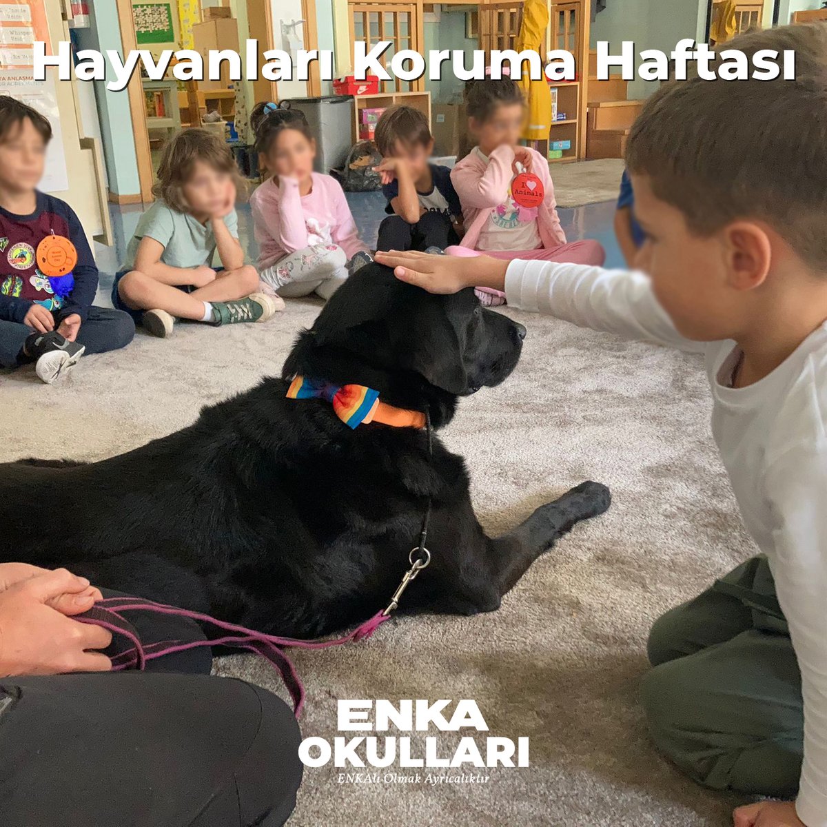 İstanbul ENKA Okulları tweet media