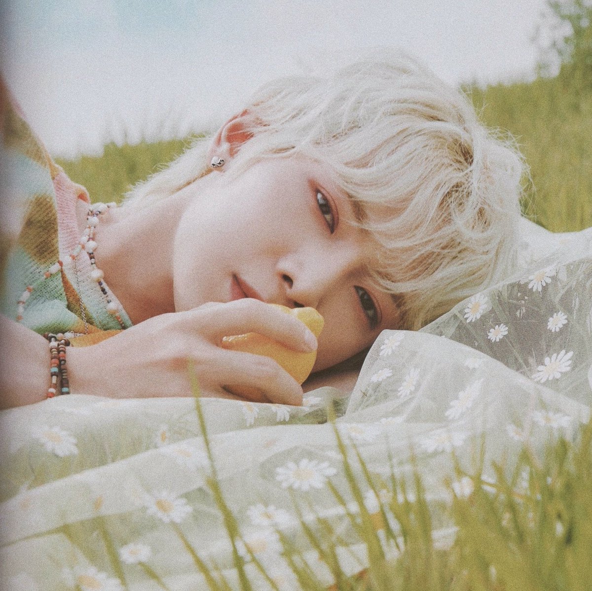 🌼🍋