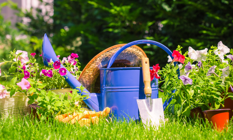 Steven_Mark2's tweet photo. 3 Brilliant Tips to Maintain the Health of Your Garden
https://t.co/i5cGeZqz8J
#guestpostingsites #fashionguestpost #guestpostpublisher #techguestposting #submitguestpost 
#guestpostingseo #seoguestblogpost #guestpostsreddit #paidposting #news
#digitaloutreach #linkbuilding https://t.co/Q1AfaHgJUG