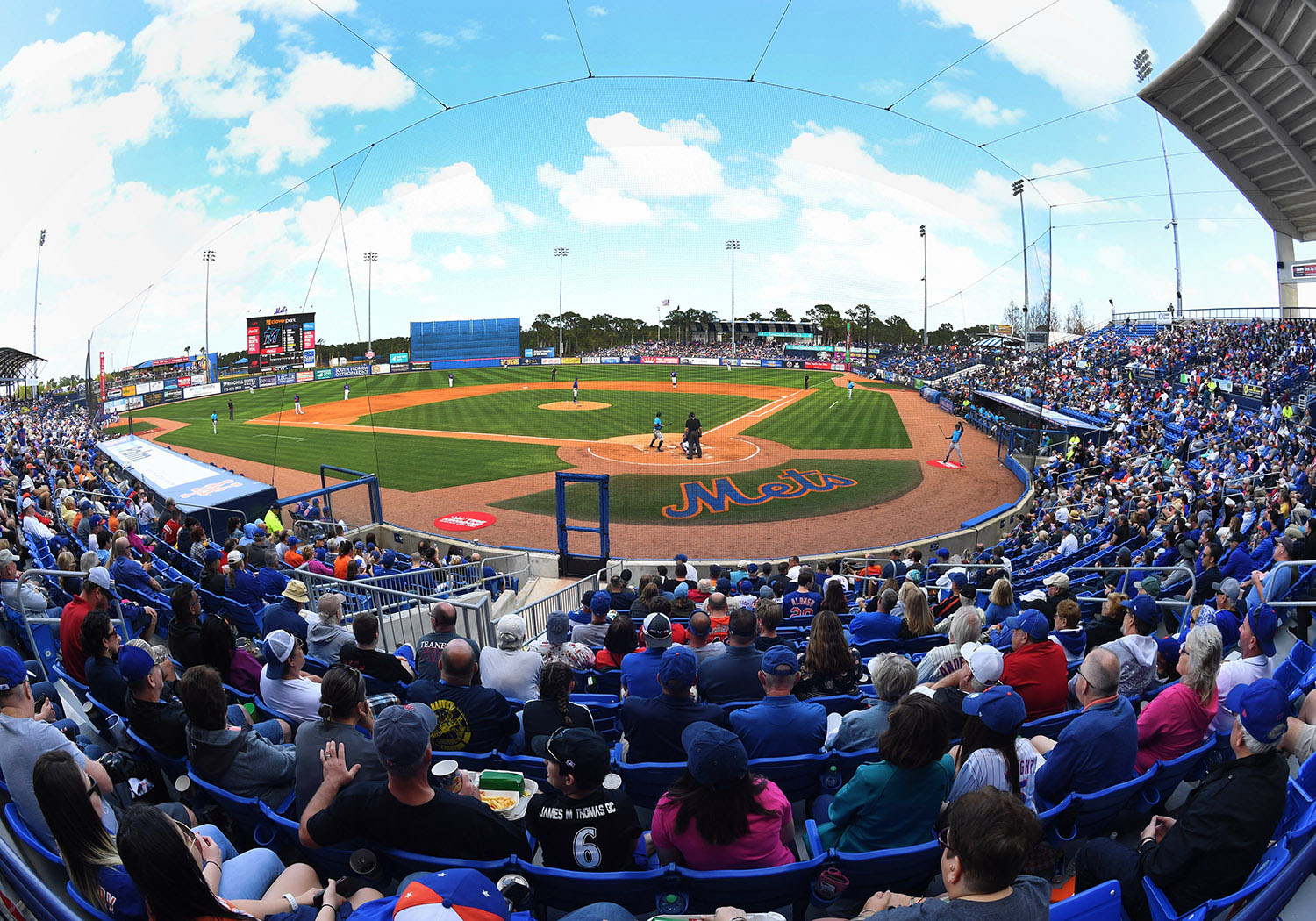 Spring training begins for New York Mets in Port St. Lucie, Fla. – New York  Daily News