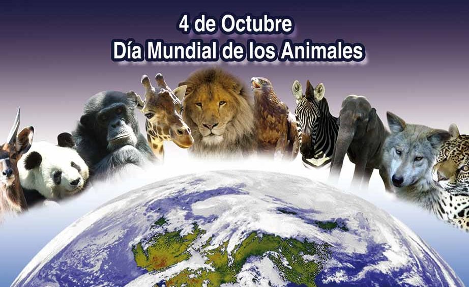 #EFEMERIDES | Este 4 de octubre se celebra el Día Mundial de los Animales. 🐵🐔🐶🐷 

Tal día como hoy, hace 93 años, se fue declarado el día de los animales por iniciativa de la Organización Mundial de Protección Animal. ¡Cuidemos a los animales! 🐯❣️ #4Oct