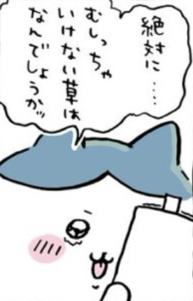 あんなにハチワレちゃん泣かして
それでも草むしり検定の勉強しないで
ちいかわDV男の素質あるな… 
