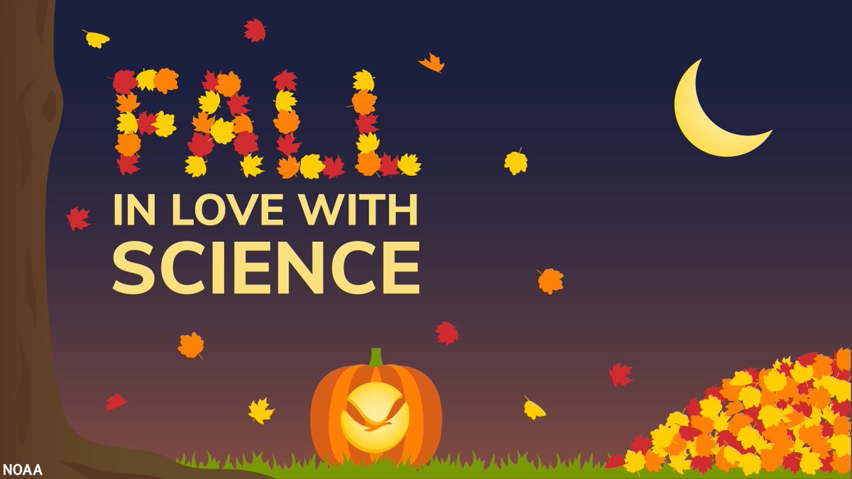 NOAAFish_NEFSC's tweet photo. Attention teachers and educators! Check out these great @NOAAEducation activities, educational resources, and demos that are sure to make you and your students #FallInLoveWithScience this season: https://t.co/MzvG4ITg9k. https://t.co/NuH0KacX9p