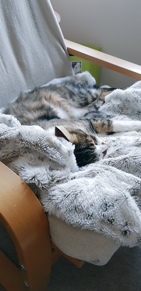 Viliyana Lewis (MRes, EngD) tweet media