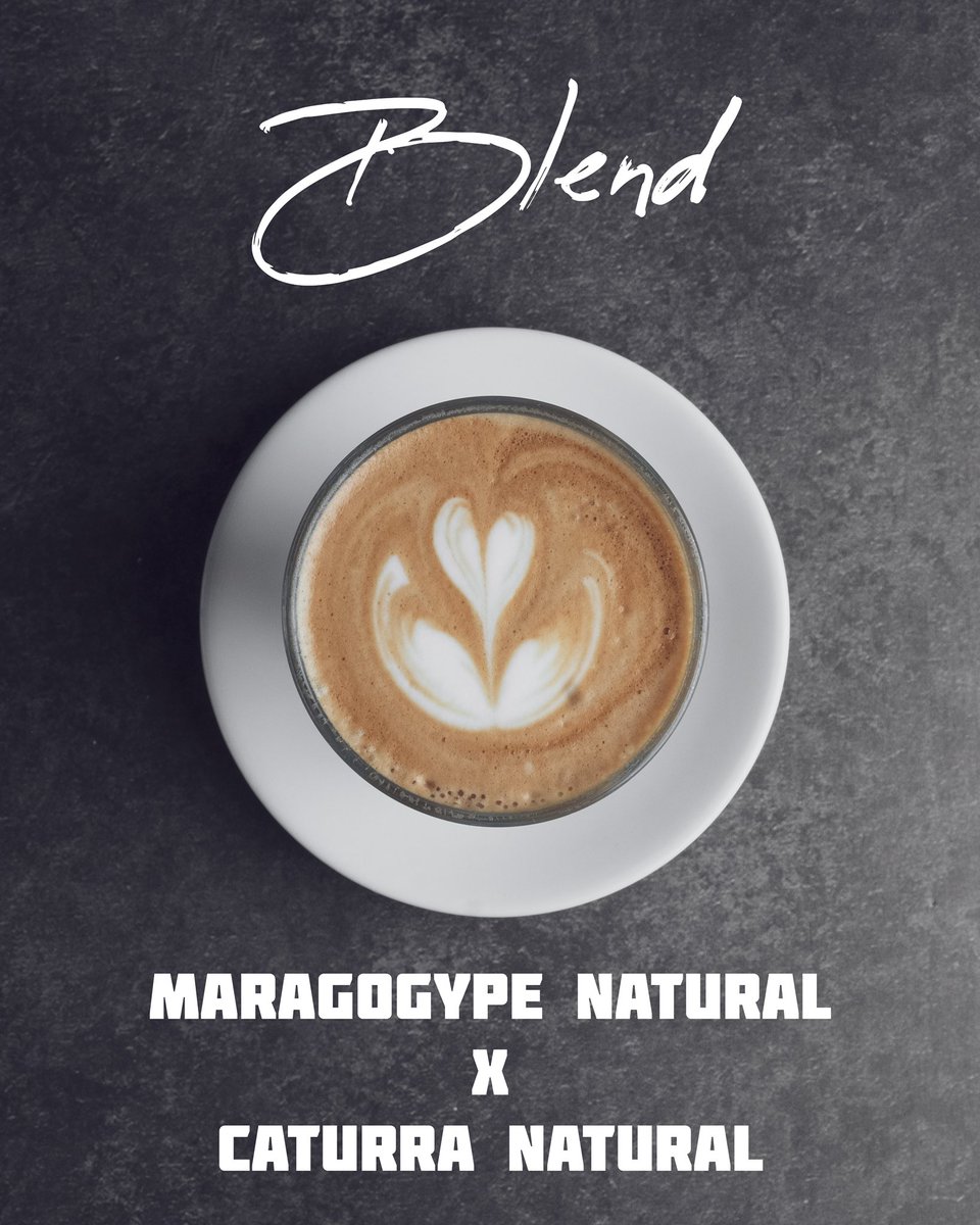 OrigenTC's tweet photo. Hoy tenemos un espectacular Blend en nuestro Espresso Bar☕️🤩
#soloporhoy #hoy #blend #caturranatural #maragogypenatural #espressobar #espresso #coffeeblend #coffee #cafe https://t.co/xIklxHD2KV