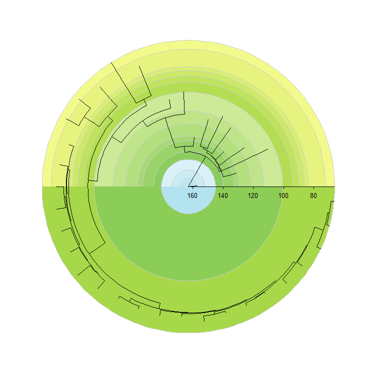 willgearty's tweet image. Have you ever wanted to add one or more colorful #timescale backgrounds to your circular #phylogeny in #RStats? How about a proper customizable time axis?

This and more is now possible in my #deeptime package!
github.com/willgearty/dee…

Please give it a go and provide feedback!