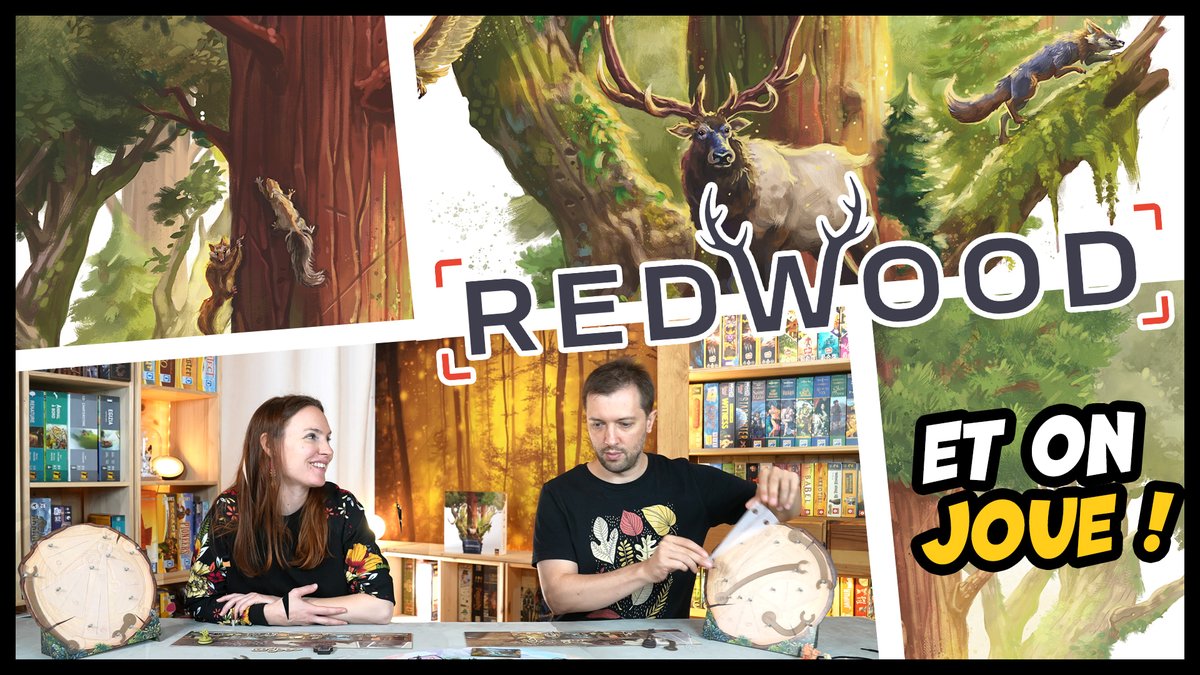 unmondedejeux's tweet photo. Martin et Aline vous présentent en quelques minutes les principales mécaniques du nouveau jeu de Christophe Raimbault, Redwood édité par @SitDownGames et proposé en financement participatif sur la plateforme Kickstarter.

Le lien vers la vidéo : https://t.co/bjjS7XU3DI https://t.co/f7y2mL5IBQ