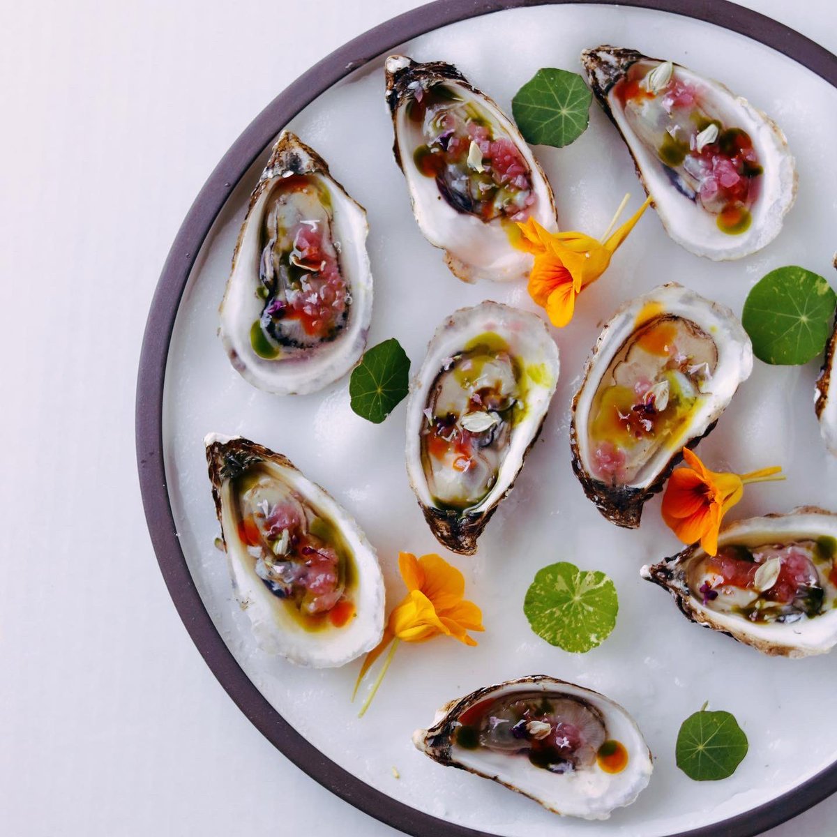 Brindle_berry's tweet photo. Oysters | Shallot Mignonette | Dill Oil | Chili  Oil @chef_murali #oyster #oysterlover #catering #caterer #seafood #torontocatering #privatedining #chefmurali #brindleberrycatering  #torontocateringshowcase #catersource #cheese  #corporateevents #catering #bonappetit #foodpics https://t.co/2raNI0823B