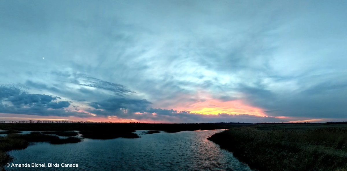1/2 Last evening, Minister Guilbeault celebrated the launch of Canada’s Key Biodiversity Areas (KBAs) registry at the <a href="/MuseumofNature/">Museum of Nature</a> in Ottawa. 

@KbaCanada <a href="/BirdsCanada/">Birds Canada</a>
<a href="/WCS_Canada/">WCS Canada</a> <a href="/natureserve/">NatureServe</a>