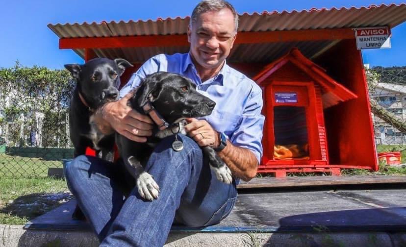 Porque hoje é dia mundial dos Animais. É o nascimento de São Francisco de Assis, o santo protetor dos animais.