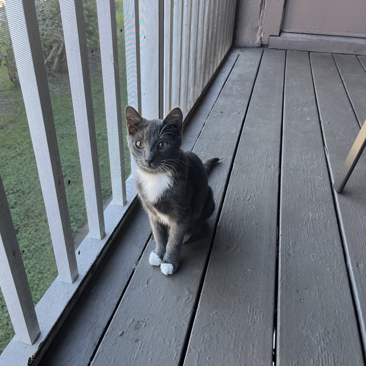 BraedenDeese's tweet photo. I think he likes the porch https://t.co/0oyv8a4geG