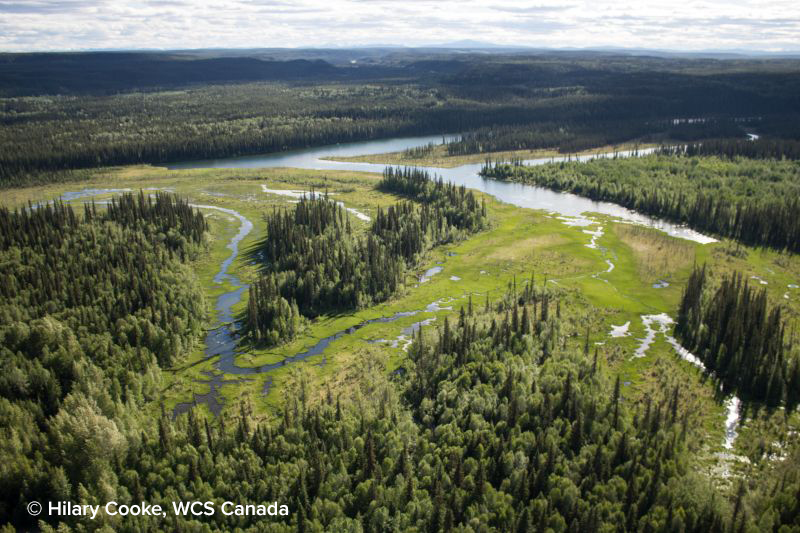 2/2 Canada’s leadership in developing a national #KBA standard has been a flagship collaborative effort applauded internationally by the <a href="/IUCN/">IUCN</a>.

Read more: ow.ly/mVgk50L0Uai

#ProtectNature #KBA #biodiversity