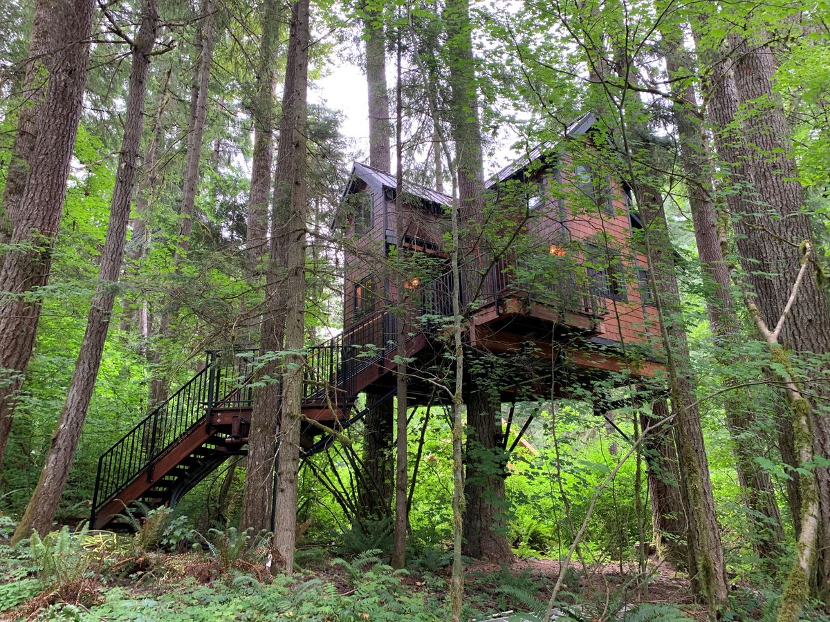 Visit Rainier on Twitter "Folks...Ashford, WA is about to get a