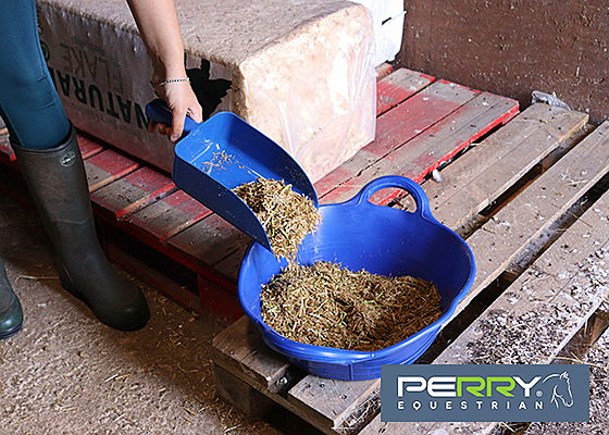 Perry Equestrian tweet media