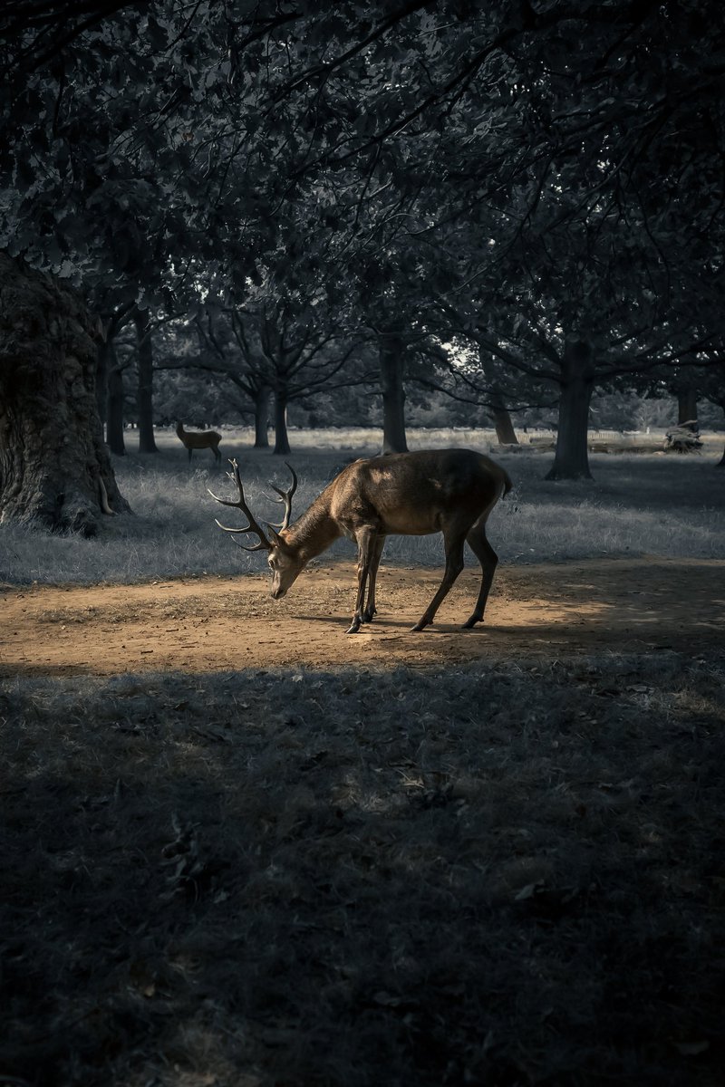 nonuzworld's tweet photo. #pics #picsart #picedit #photoedit #edits #editing #nonuzedits #lightroom #lightroomedits #lightroompresets #lightroomtutorials #lightroommobile #snapseed #snapseededit #explore #explorepage #exploremore #exploreworld . @Lightroom https://t.co/r2o1KxNJs2
