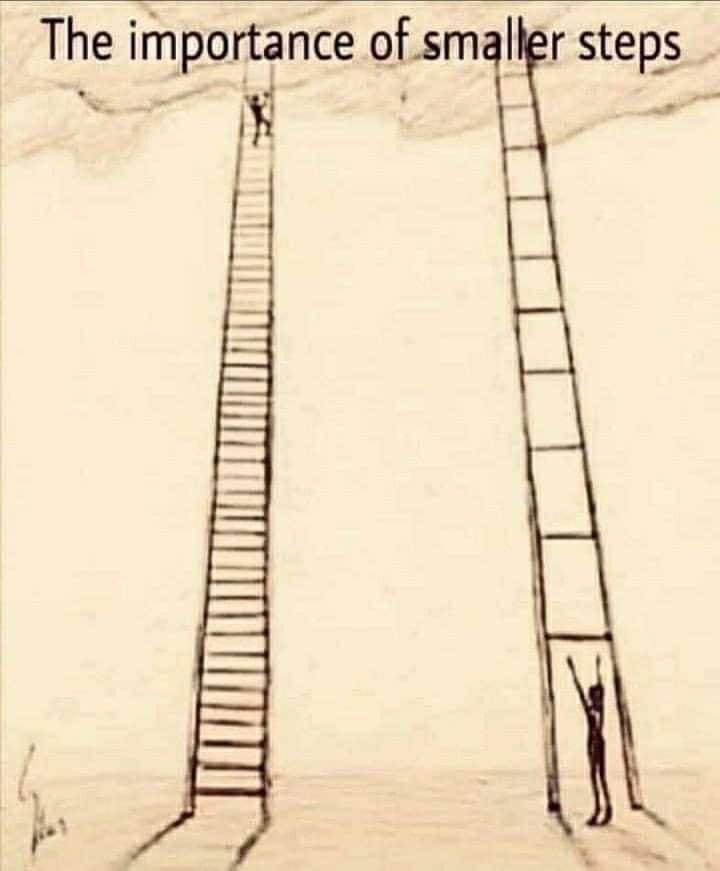 Big journeys begin with small steps 🐾