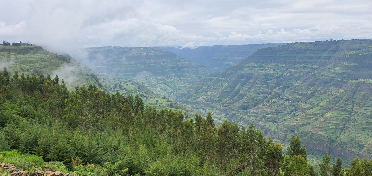 AdhenoO's tweet photo. #Beautiful_landscapes where #ADHENO has been implementing different project activities https://t.co/KeFrQ9RiPe