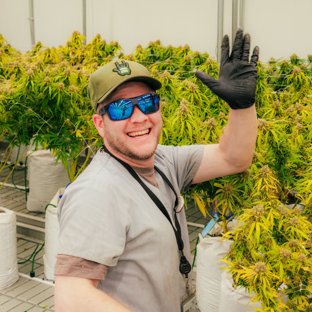 Greenmeadows's tweet photo. What's up from our Cultivation Team! 👋🏼

These are the real heroes of Green Meadows! They make sure all our flowers are of the highest quality for our guests to enjoy.

--------
Nothing is for sale on social media. For use by adults 21+ years of age. https://t.co/7QcXik7Wna