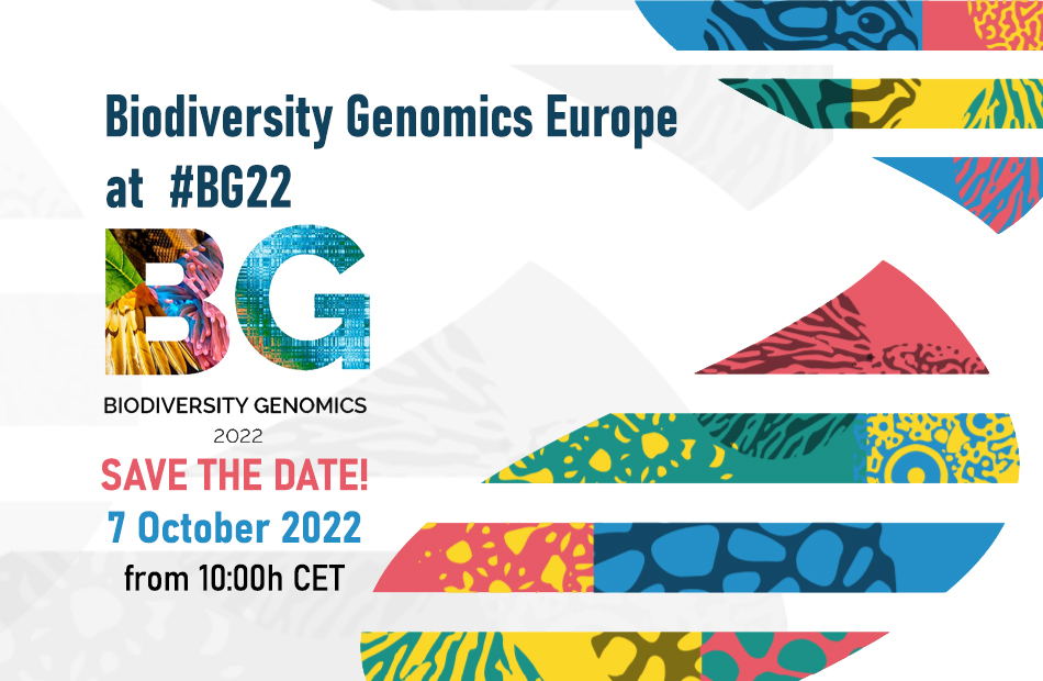 BGE at #BG22!: Our shiny, brand-new project will have a place in the sessions about @erga_biodiv and @BIOSCANEurope programmed for the event's final day, next Friday 7th. Save the date! @iBOLConsortium @EBPgenome @CBG_UofG #Genomics #biodiversity #barcoding #DNA