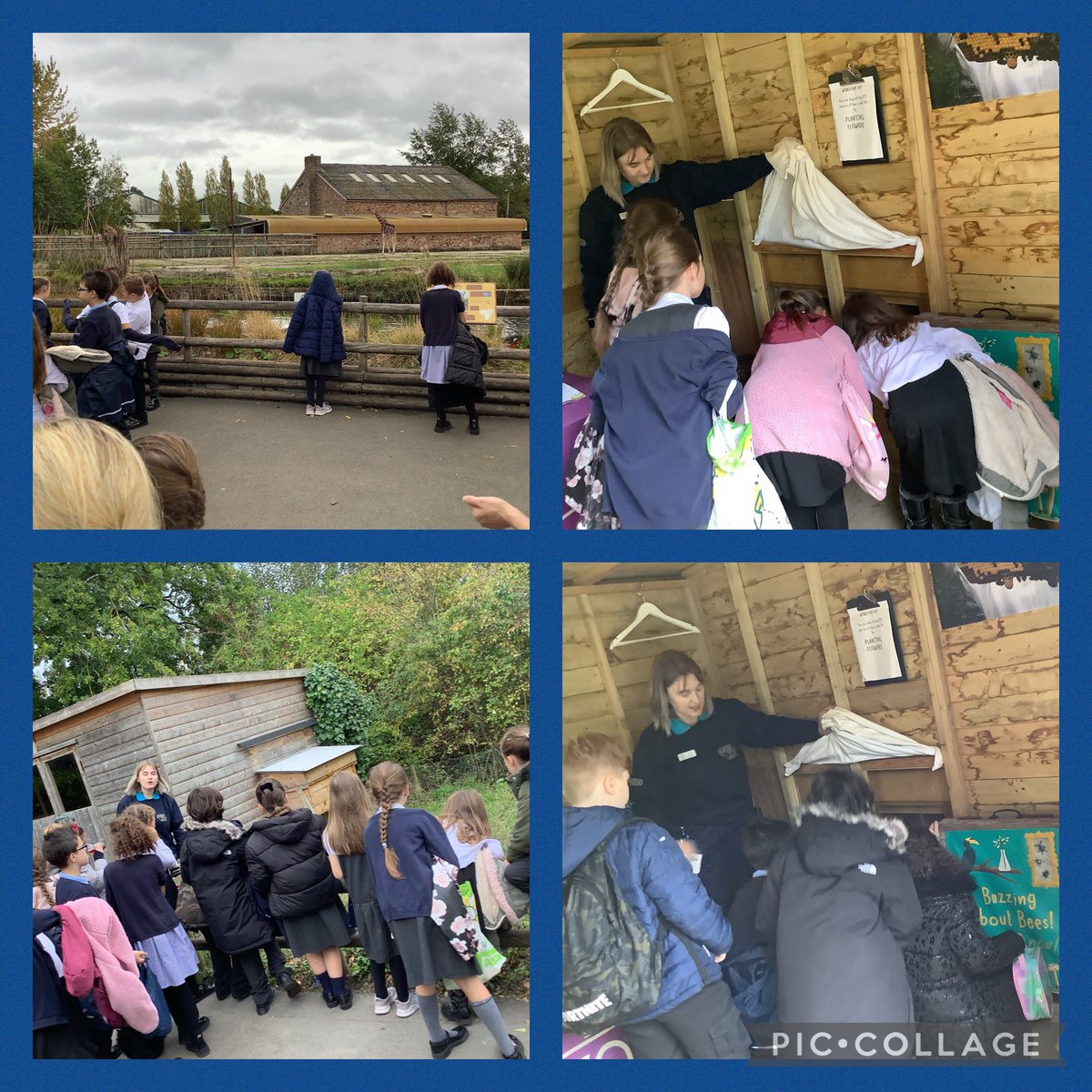 murdishawwest's tweet photo. Year 5 have had a great time @chesterzoo with @LearnatCZ today. We have visited at a range of native and non-native species and the penguins even wanted to be in our class photo! 🐧🦋🐝🦧🐘#WildlifeConnections #MWCPScience #MWCPArt https://t.co/mE9oaBeiYF