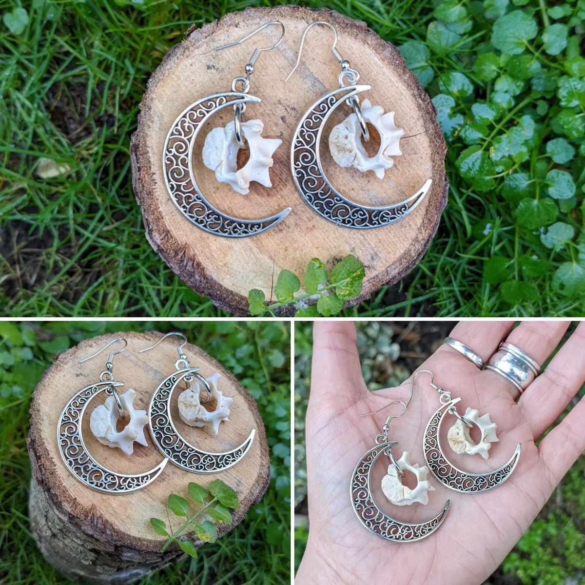 _feraline_'s tweet photo. I need to make more of these! Moon + fox bone earrings ~ with young fox vertebrae foraged from the orchard 🖤 https://t.co/mm3LkJugti
#foragedbones #bonejewellery #boneearrings #moons #witchy #foragedandfound #darkcottagecore #goblincore #foundbones #vultureculture https://t.co/BwnXd1N24O