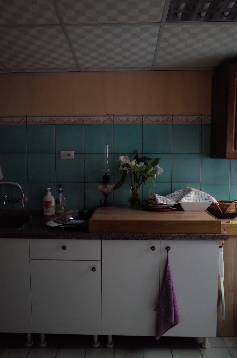 Recently stayed at an Airbnb in HuaLien where the owner placed white ginger lilies (姜花) throughout the home. I’m not usually a flower person but this one caught my attention. The aroma is amazing. Haven’t been able to find any in #Taipei yet. Anyone know a place?