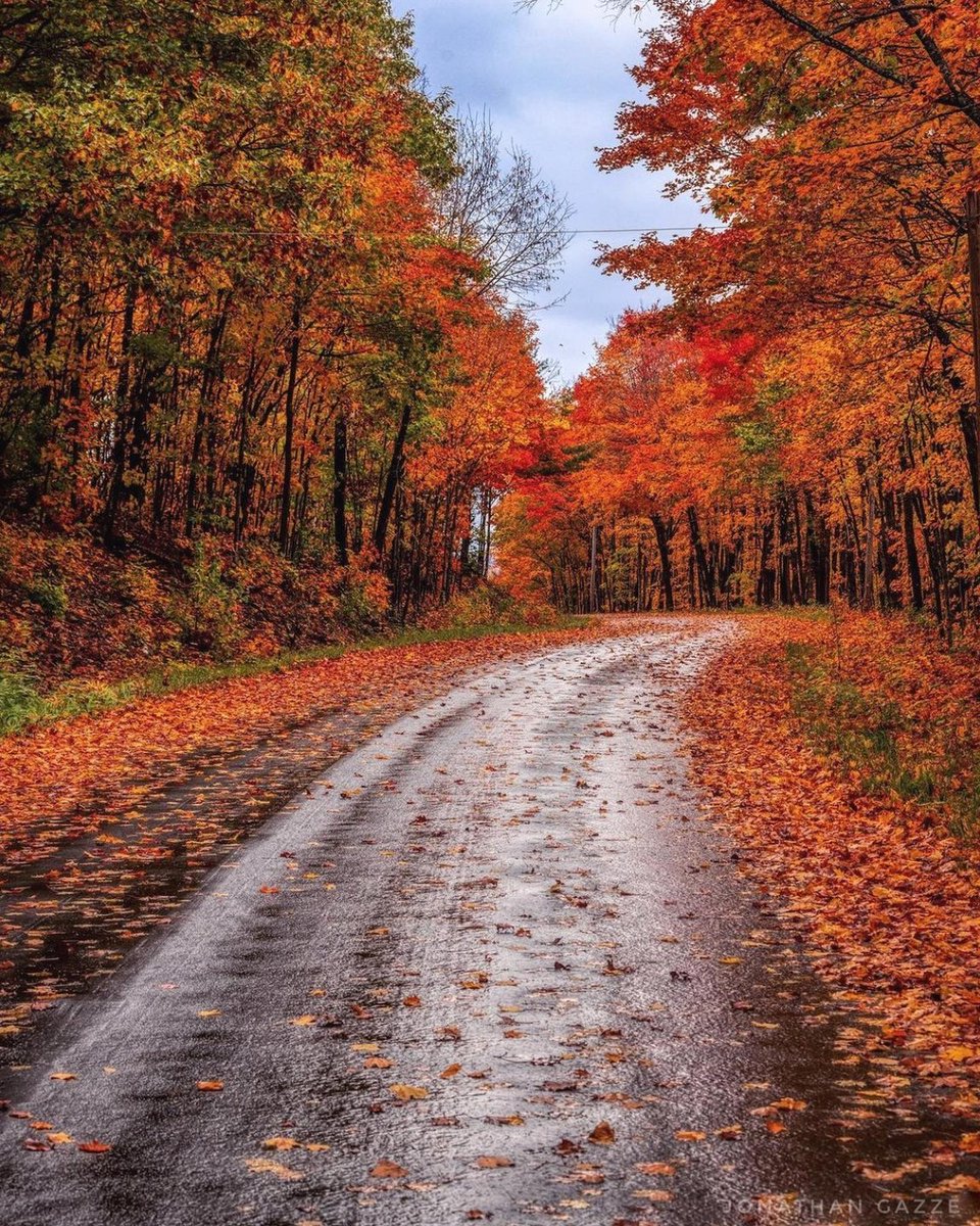 Des balades automnales en voiture qui ressemblent à…. 😍🍂

📸 <a href="/Jgazze/">Jonathan Gazze</a> 
📍 Huntsville 
#DécouvrezON