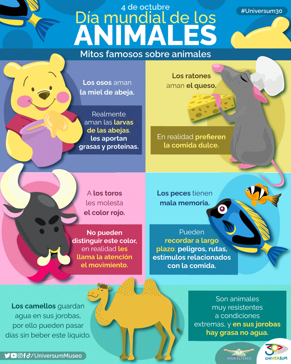 UniversumMuseo's tweet photo. #UnDíaComoHoy  se celebra el Día Mundial de los Animales. 🐻🐭💗
¿Crees saber todo sobre los animales? Aquí te dejamos algunos datos interesantes.  👇
#Universum30 https://t.co/u3kbSJ29r7