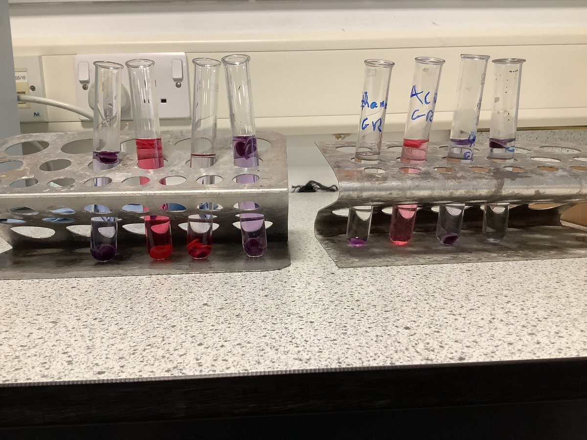 Nat 5 testing the structure of the plasma membrane @BraesArt_Design #combacktocolour #thbigdraw #braescreativity