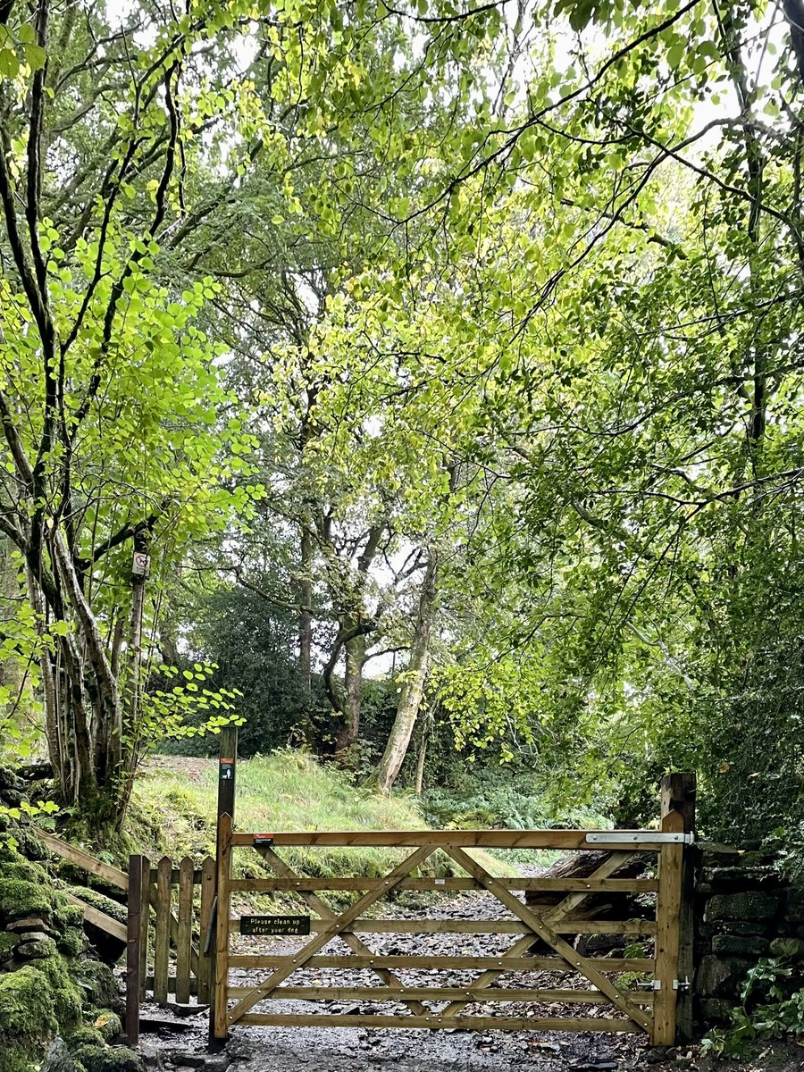 ciaranmonaghan's tweet photo. Gate replaced at #FlinterGill #Dent on today’s @yorkshire_dales #DalesVolunteers session https://t.co/MXVaQOErgf