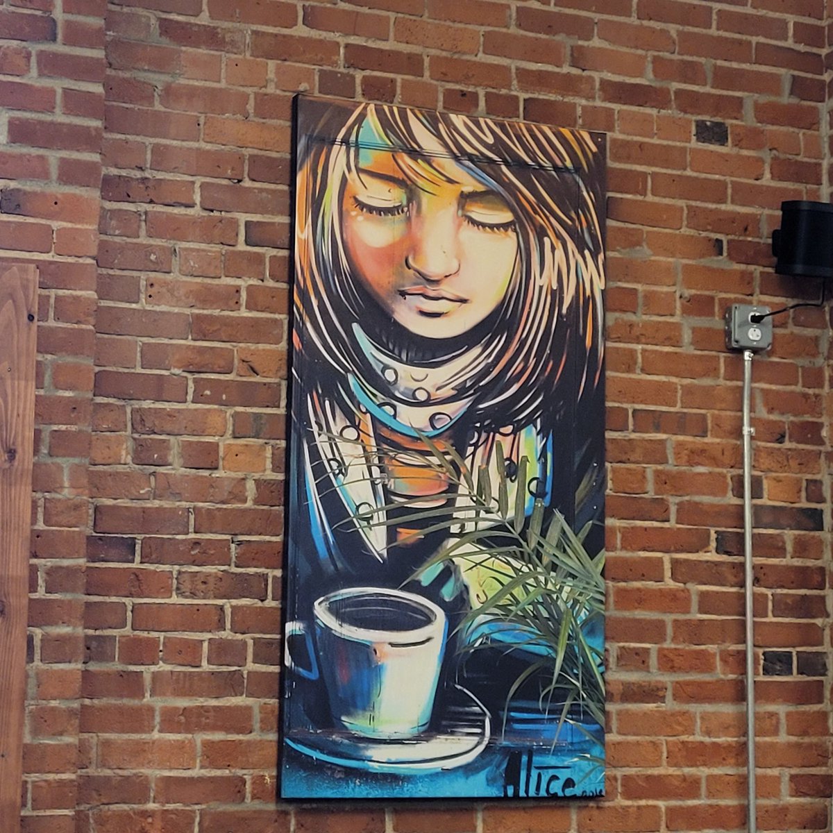 Doretta Andonucci tweet media