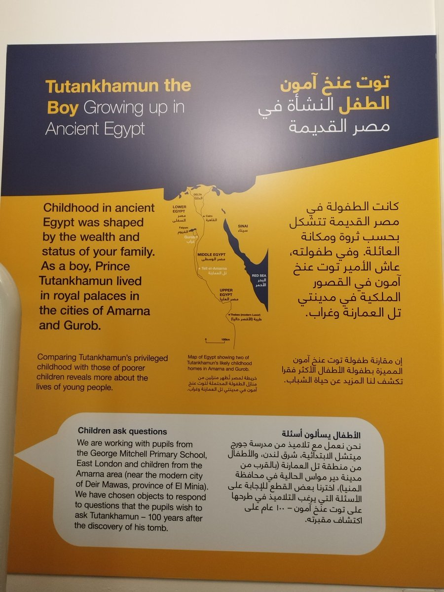 Mostafa I. Tolba tweet media