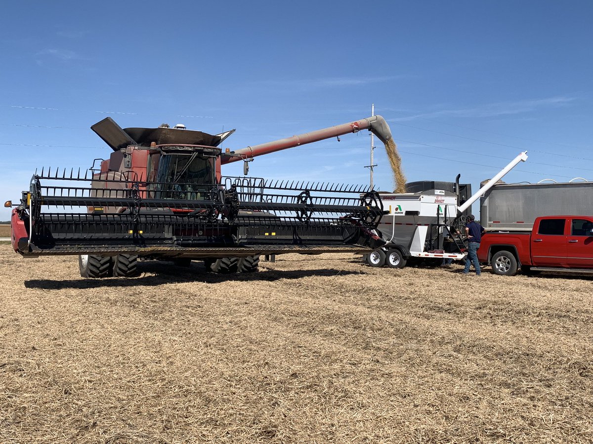 Brian Dintelmann tweet media