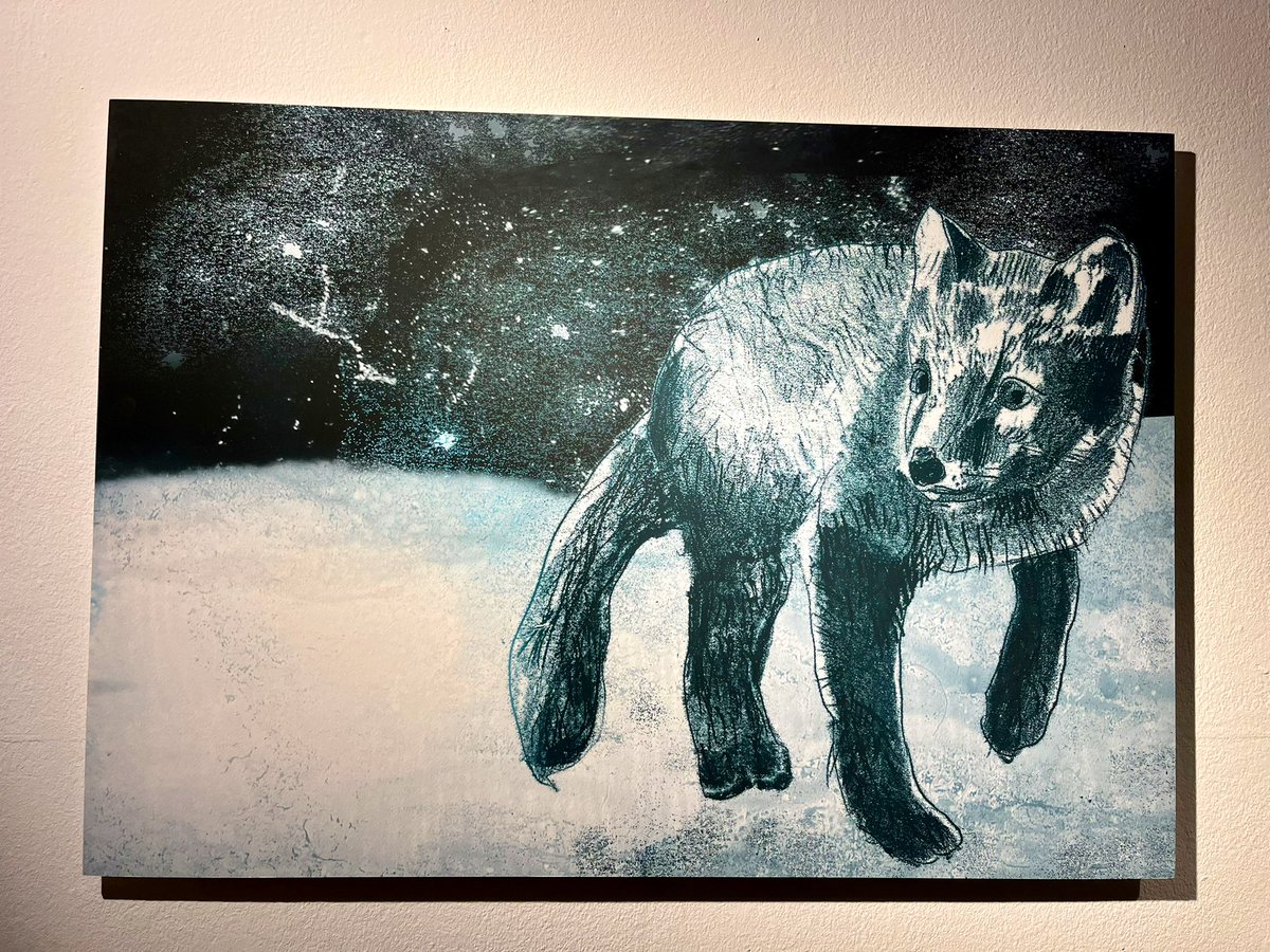 Delighted to be at <a href="/Foyles/">Foyles Bookshop</a> tonight to celebrate the launch of #LeilaAndTheBlueFox by the wonderful @Kiran_MH &amp; Tom De Freston 🐾❄️

✨Exhibition open until 1st Dec✨