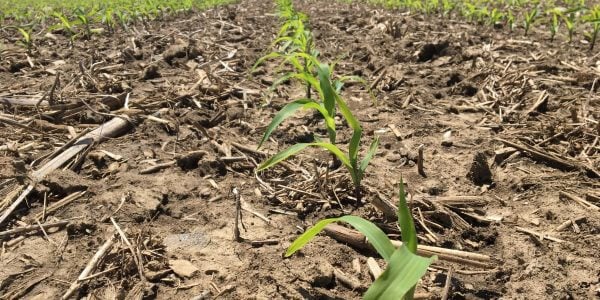 RealAgriculture tweet media