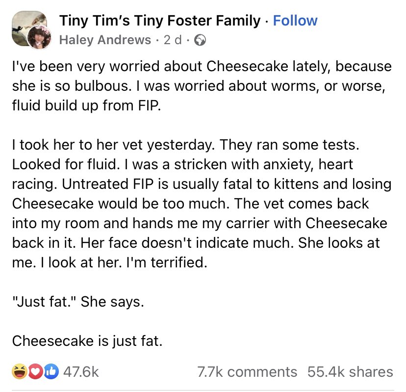 Pandamoanimum's tweet photo. Saw this on Facebook earlier. Thought some of you might like to see it too.
I ❤️Cheesecake. https://t.co/nT1y0ysDbU