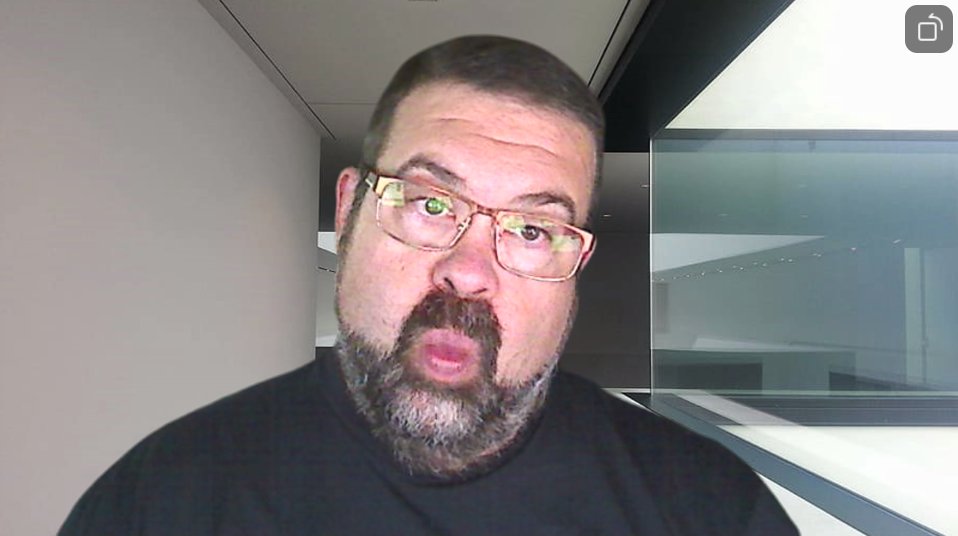 I changed my virtual background in Zoom for work and now look like a Sprocket.