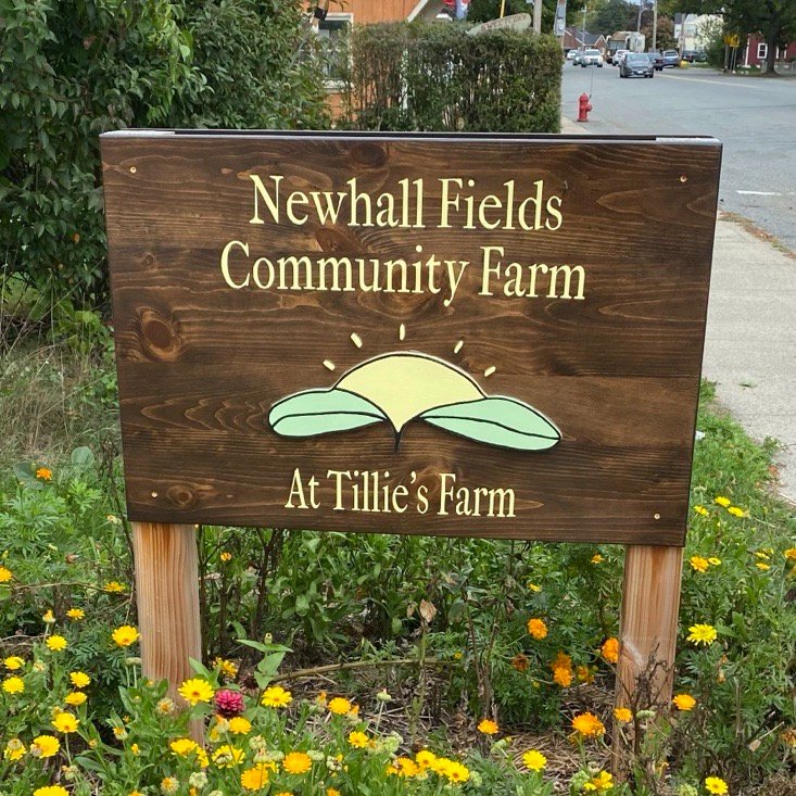 SenJoanLovely's tweet photo. Fantastic afternoon at @bridgewellorg Celebration of Community at Newhall Fields Community Farm in #Peabody w/ Pres &amp; CEO Chris Tuttle, volunteers &amp; participants! Food harvested today will support @citizensinn. Thankful to work w/ this amazing organization. #NorthShoreMA https://t.co/e0BsaSY3Mt