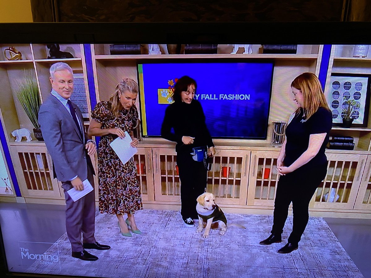 albrandstatter's tweet photo. Rhonda and Virgil had a very exciting morning downtown as they got to be on the Global TV Morning Show trying on "fall fashion!" 🐕 Plus, they even met "Roz" from the Roz &amp; Mocha Show!!! Loving these adorable pictures of Virgil, the celebrity! 🤩 https://t.co/c6l65vTARE