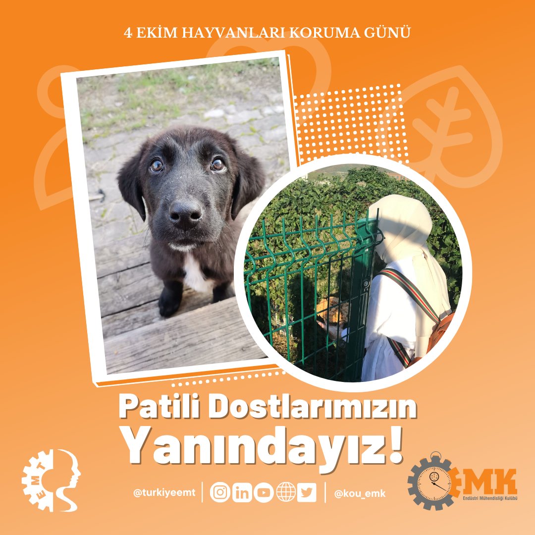 KOUEMK's tweet photo. 🔹 Türkiye EMT bünyesi altında KOU EMK Ailesi olarak sosyal sorumluluk projemiz gerçekleştirdik! Sosyal sorumluluk projelerimizin devamı adına DEÜ EMT’ye meydan okuyoruz!
✨Hadi @DEU_EMT sıra sende! https://t.co/CcSQZZh5fw