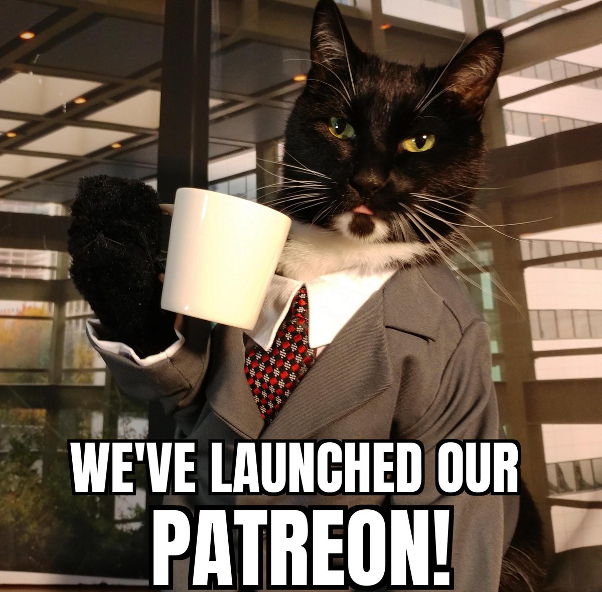 If you like Cats in the Costumes we make you can support our models and cover our production costs here! Also vote on a new costume we'll make each month on Patreon! ko-fi.com/catcosplay patreon.com/Cat_Cosplay