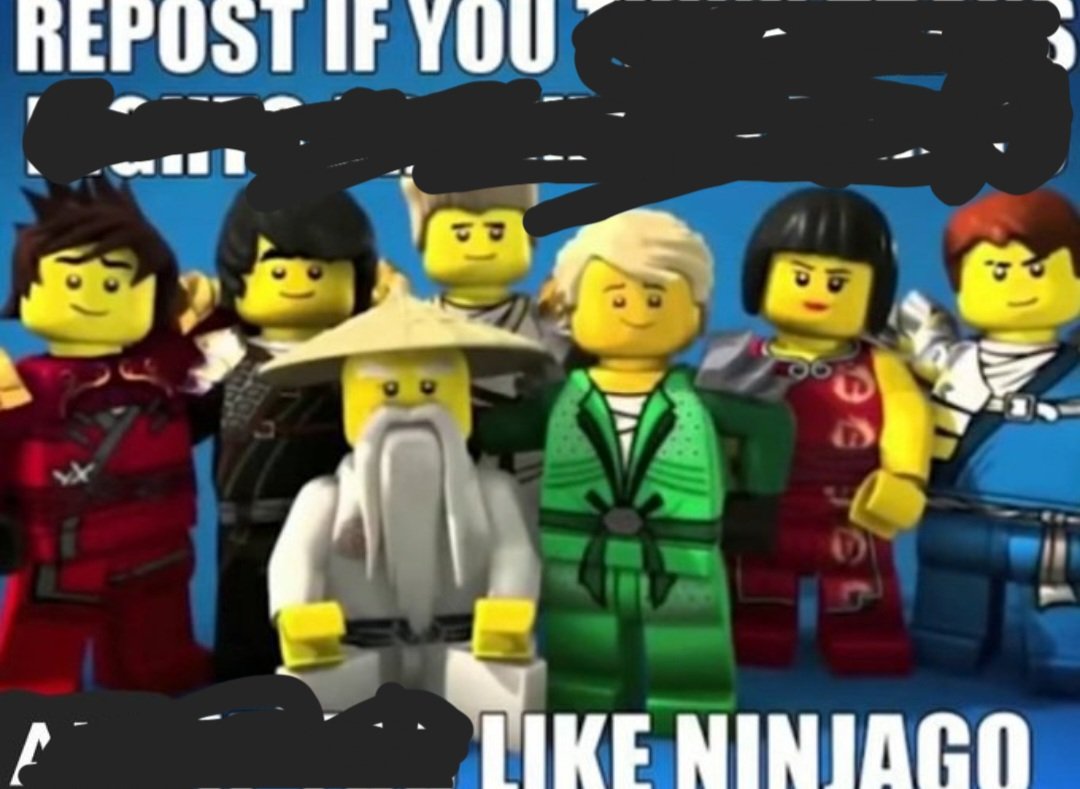 Schokkomann's tweet photo. @RespectfulMemes https://t.co/YPVvCoh9xL