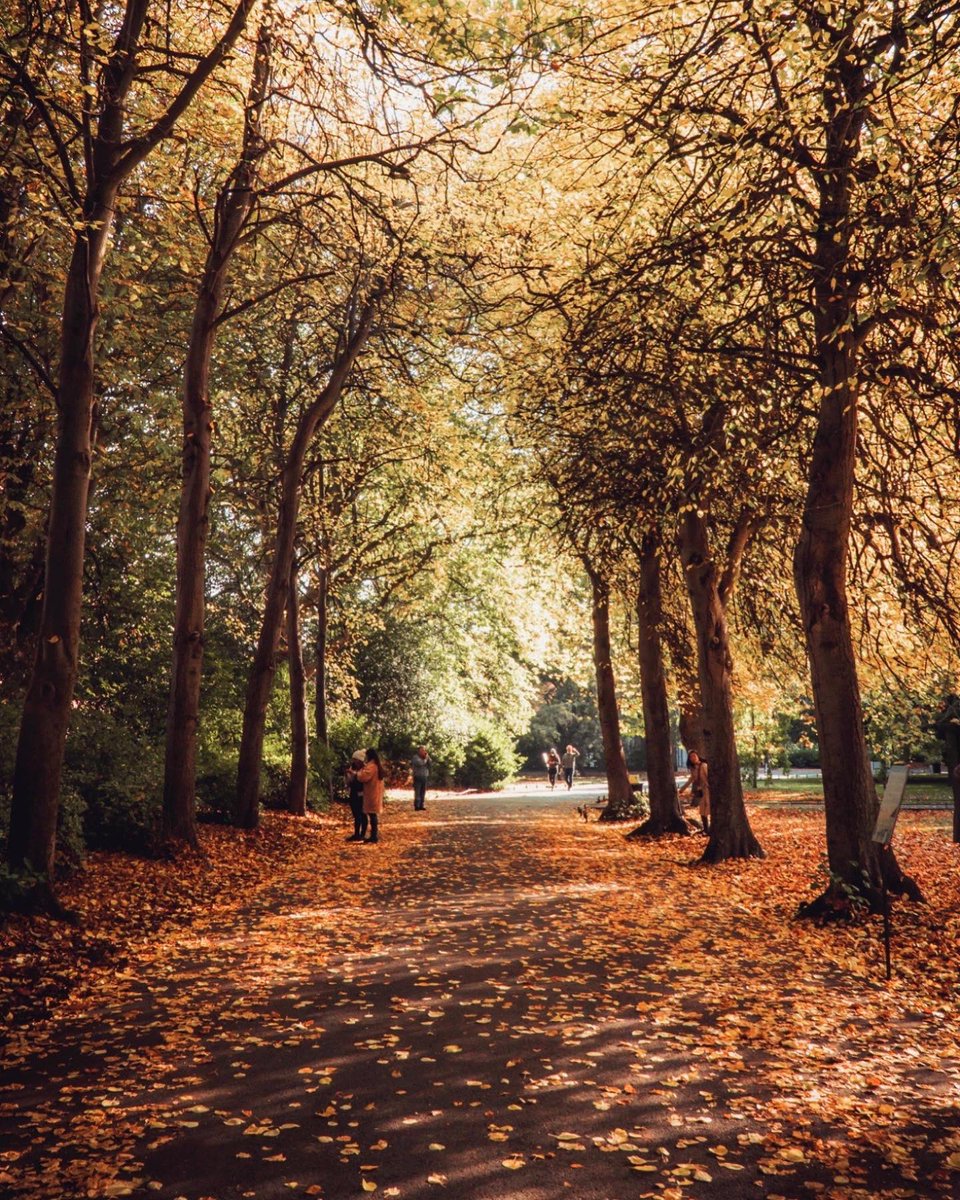 Themillennialnomad - digital Nomad Lifestyle tweet media