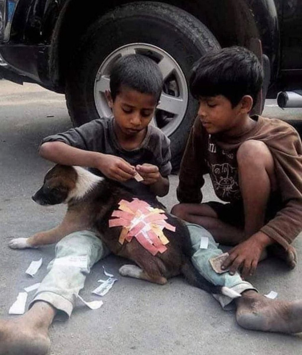 Merhamet kalpteki en değerli hazinedir.